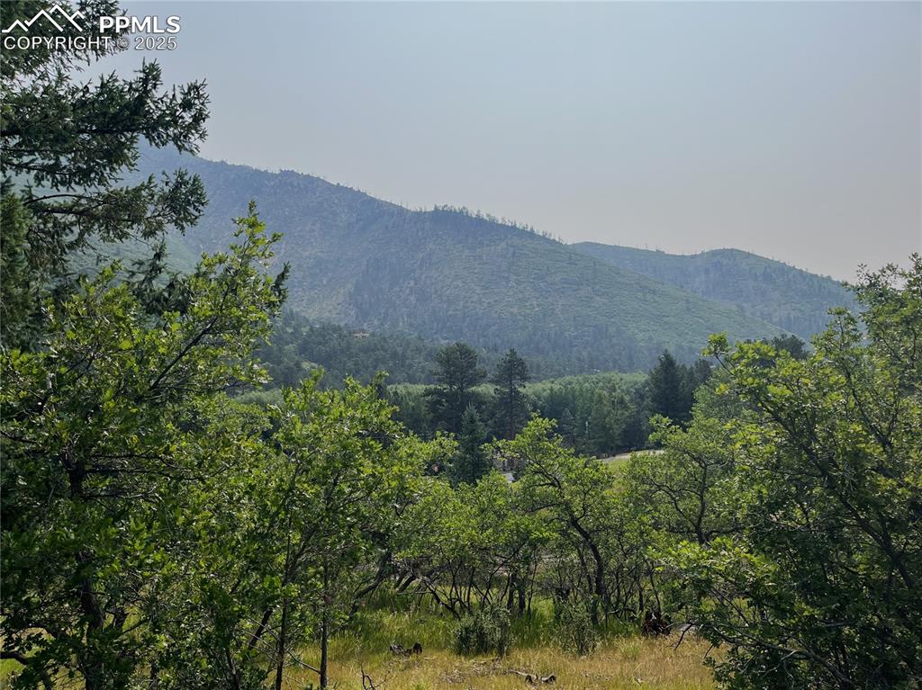 Image 19 of 49: View