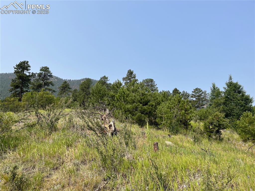 Image 20 of 49: Other