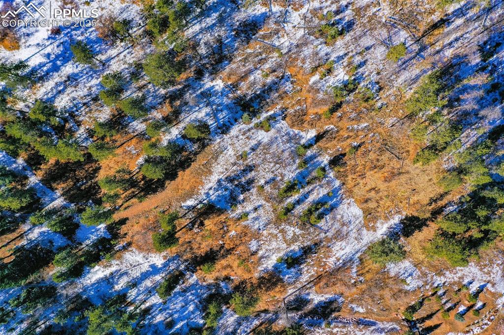 Image 23 of 49: Aerial View