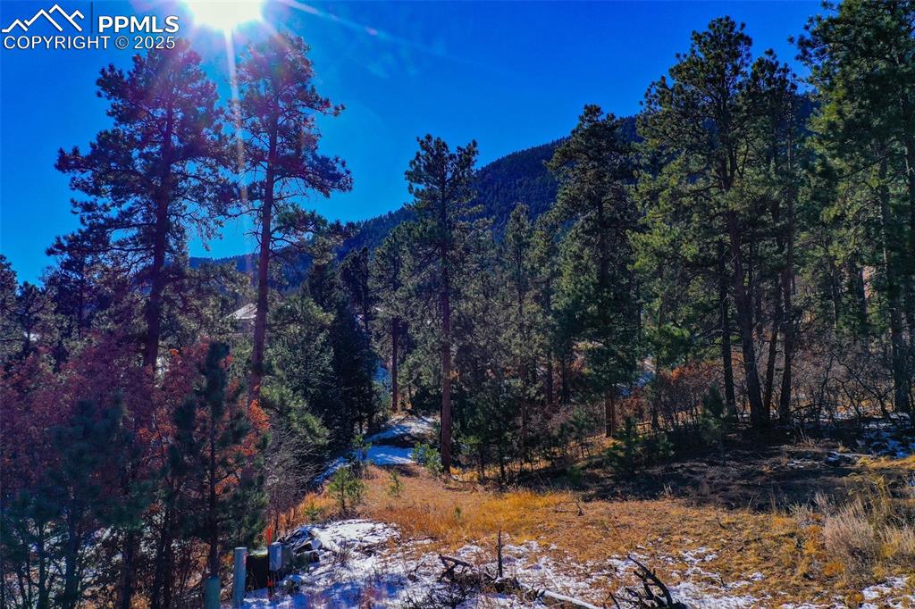 Image 31 of 49: View