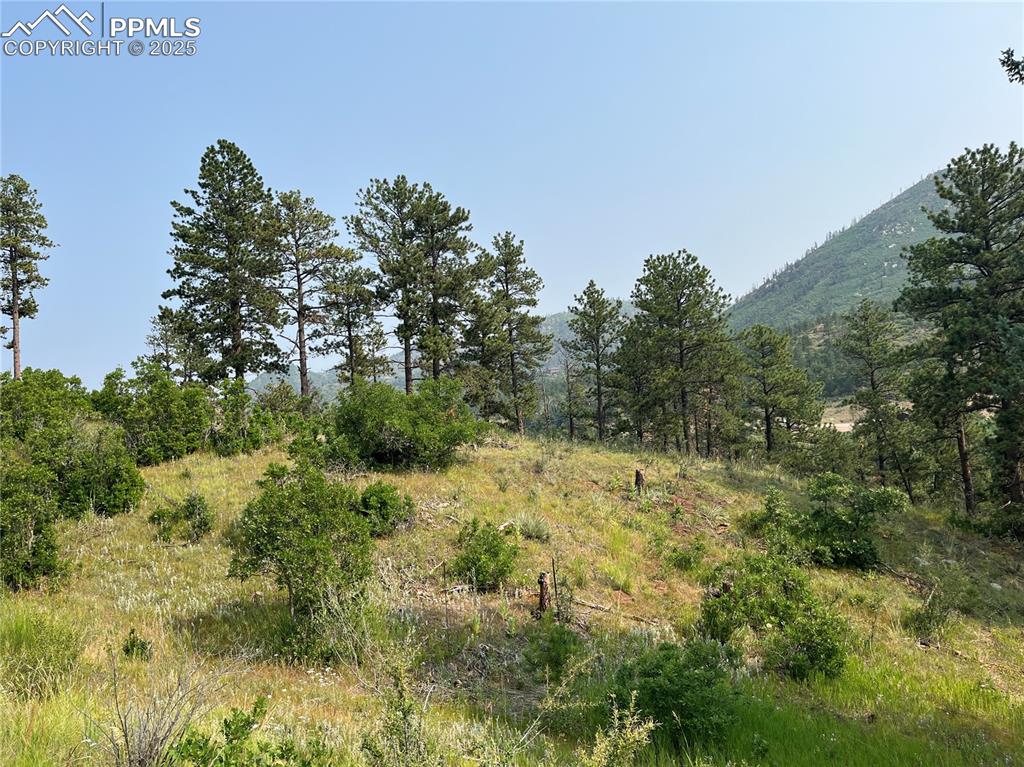 Image 38 of 49: Other