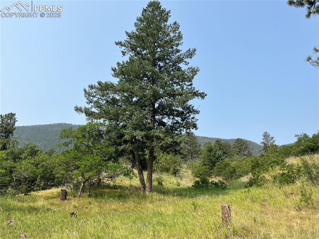 Image 41 of 49: Other