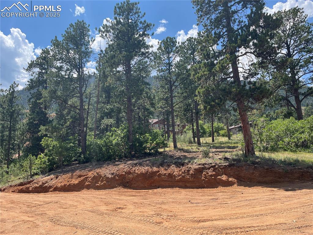 Image 42 of 49: Other