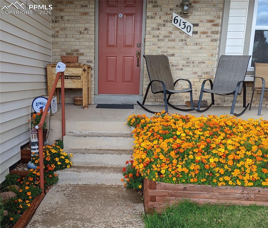 Image 2 of 40: No Description Available