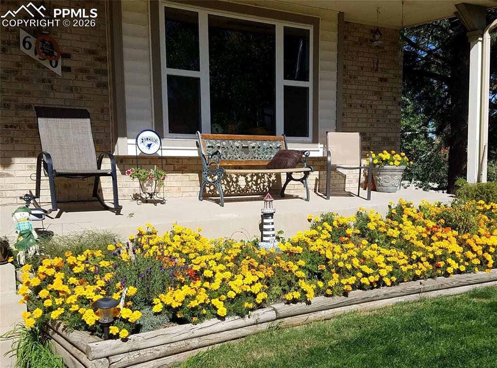 Image 3 of 40: No Description Available