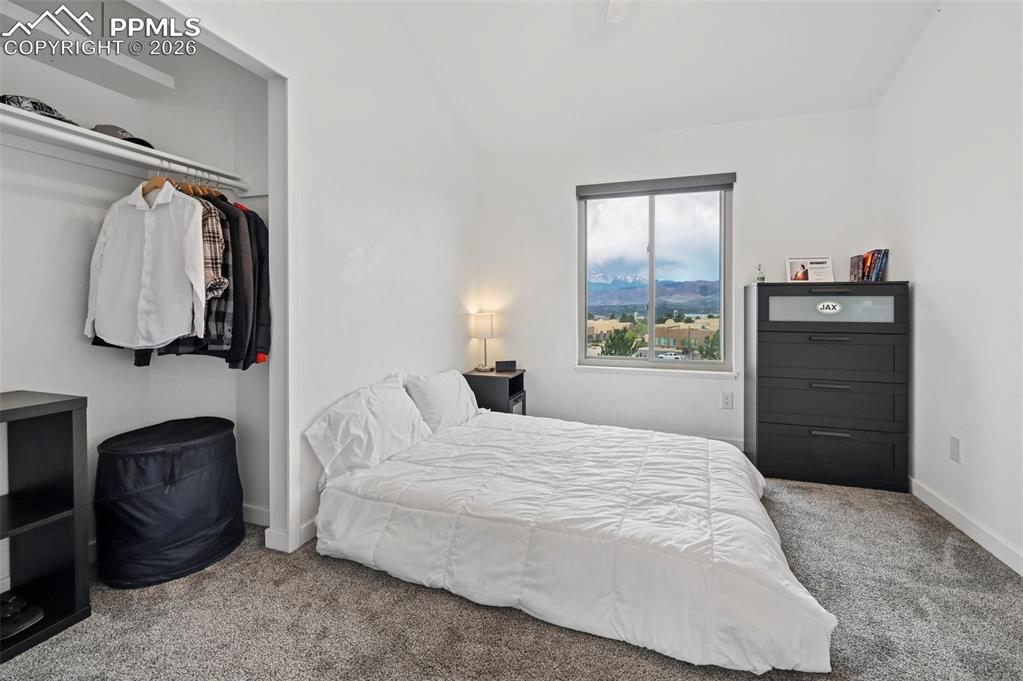 Image 37 of 50: Carpeted bedroom with a closet and baseboards