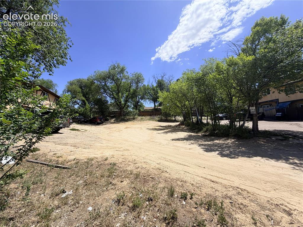 Image 4 of 8: Expansive undeveloped lot featuring mature trees and a clear, level surface