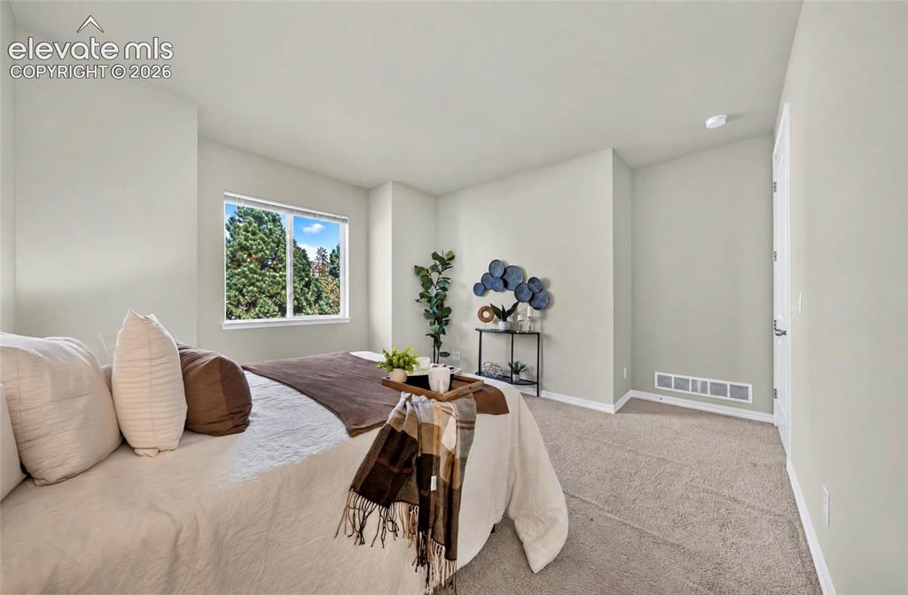 Image 21 of 41: Light-colored walls, window with outdoor scenery, neutral-toned carpeting, 