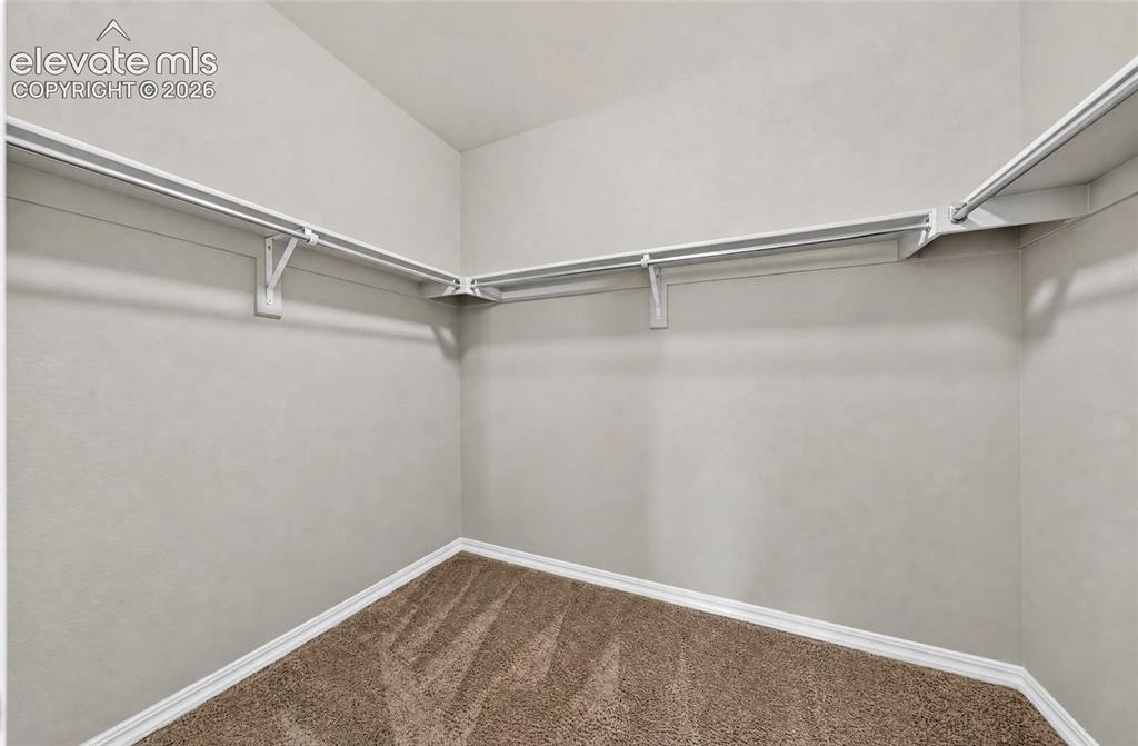 Image 26 of 41: Walk-in closet featuring carpet flooring, and built-in white wire shelving 