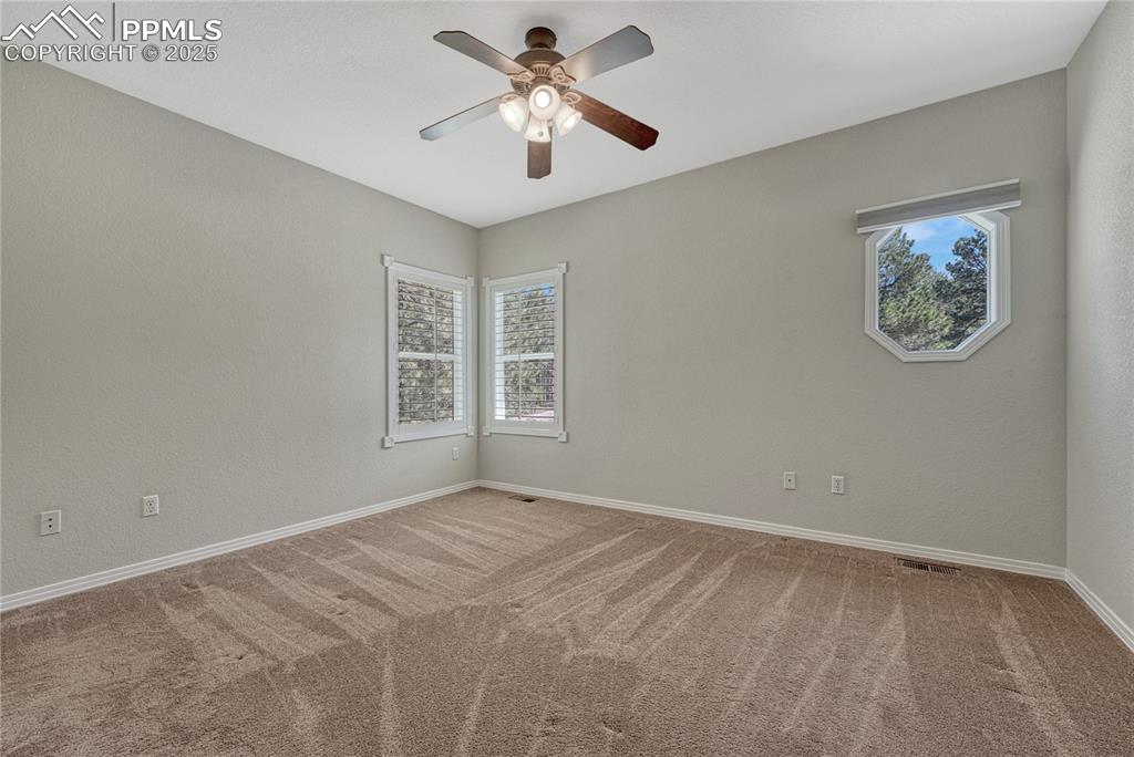 Image 23 of 50: Other