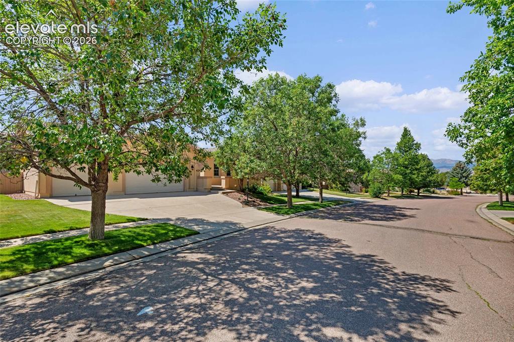 Image 50 of 50: Street with mature trees
