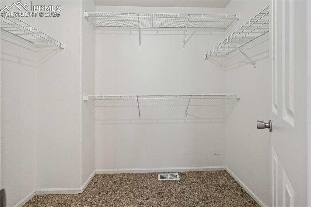 Image 26 of 31: Walk in closet featuring carpet floors