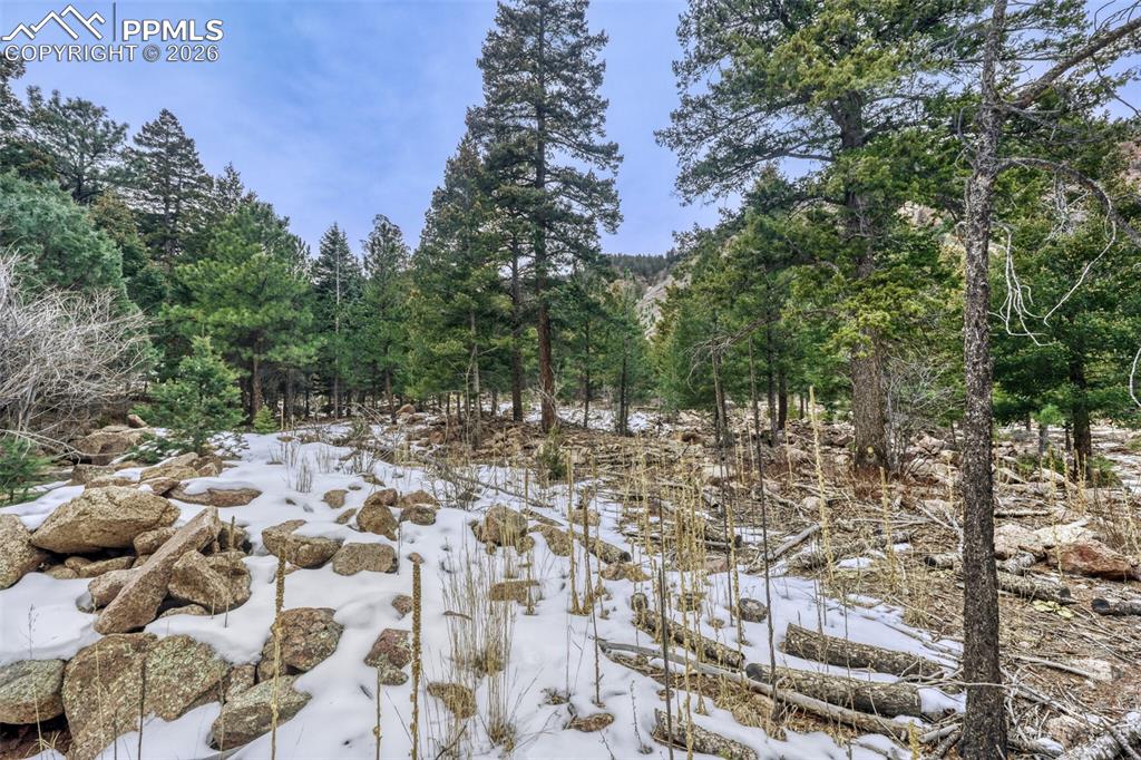 Image 6 of 26: seasonal stream