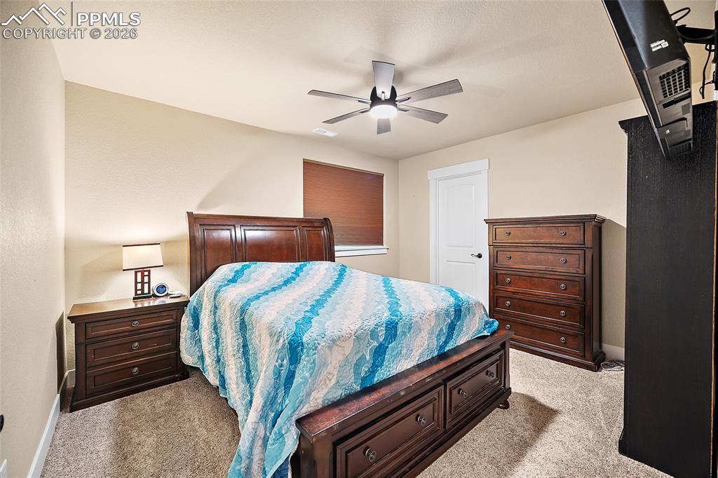 Image 30 of 49: Lower level bedroom with walk in closet.