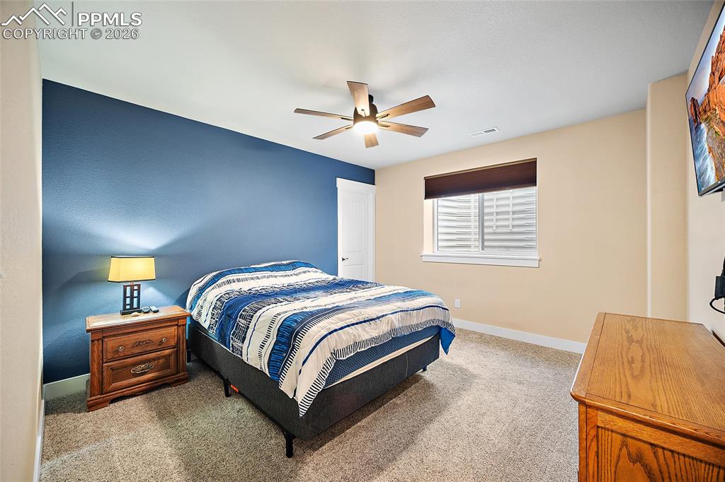 Image 31 of 49: Lower level bedroom with walk in closet.