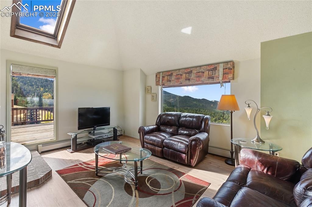 Image 11 of 48: Living room featuring wood finished floors, vaulted ceiling, a baseboard ra