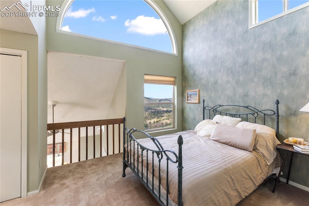 Image 33 of 48: Bedroom featuring a high ceiling, multiple windows, and carpet