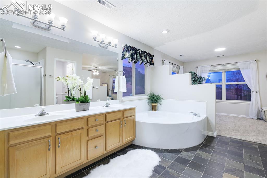 Image 29 of 50: No Description Available