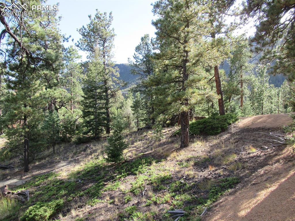 Image 10 of 17: Other