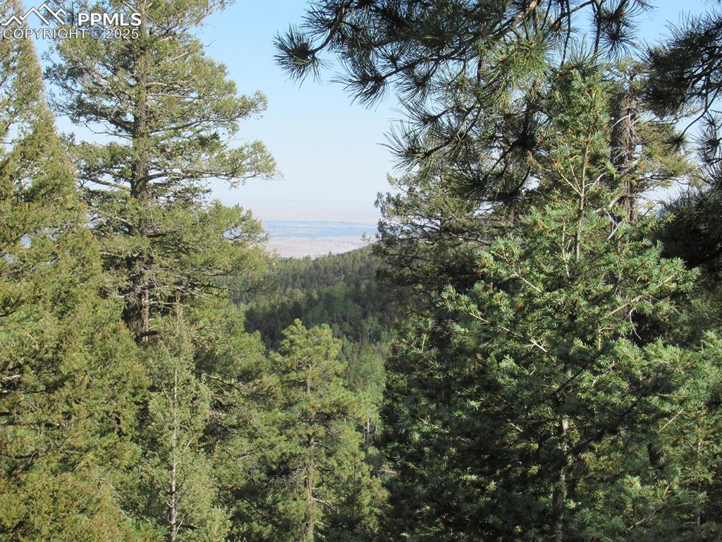 Image 11 of 17: Other