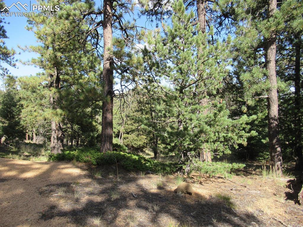 Image 3 of 17: Other