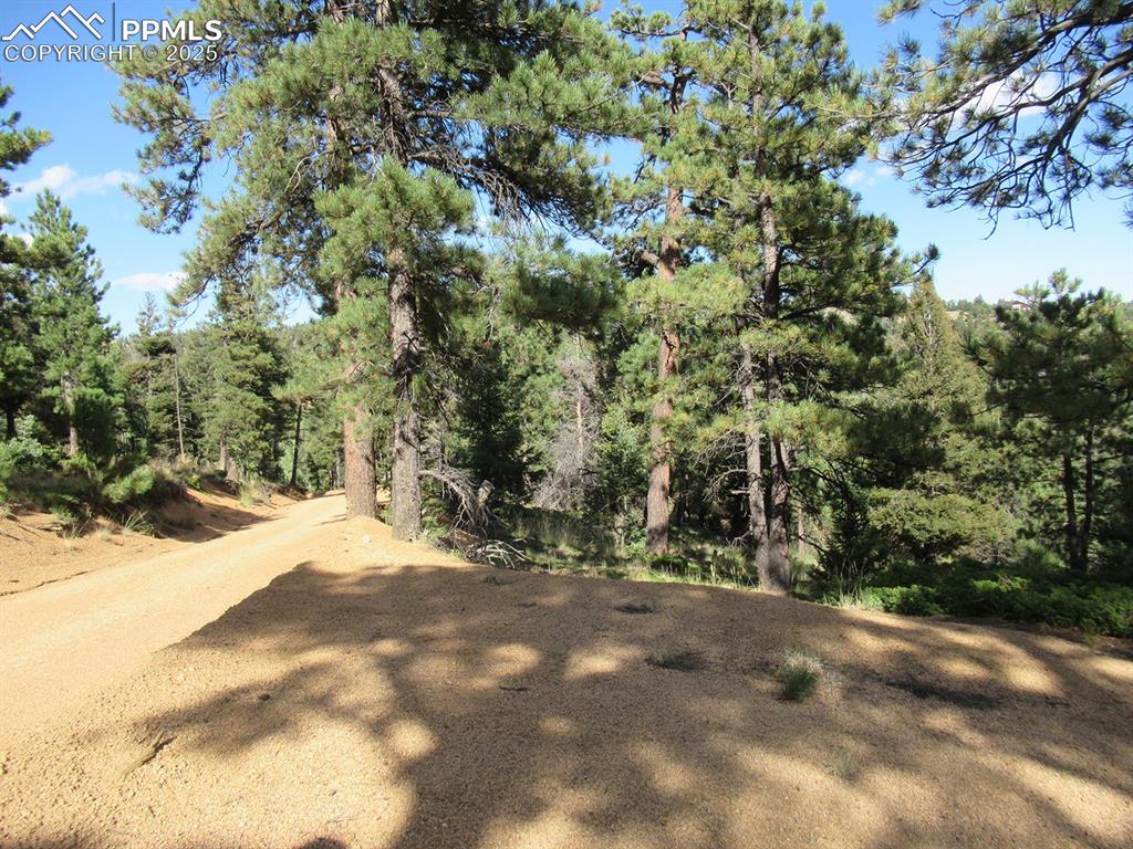 Image 4 of 17: Community