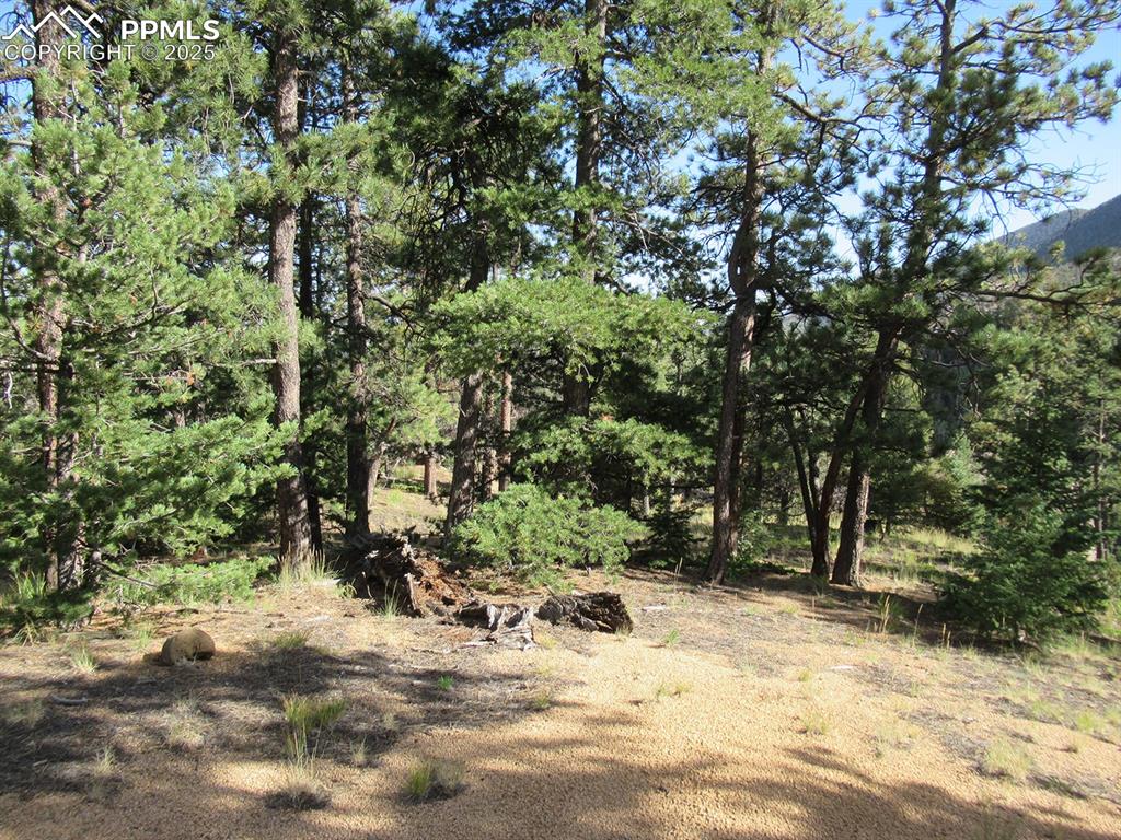 Image 5 of 17: Other