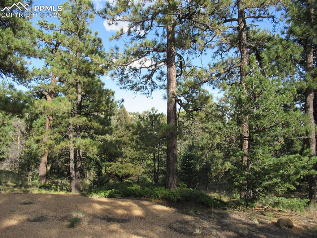 Image 7 of 17: Other