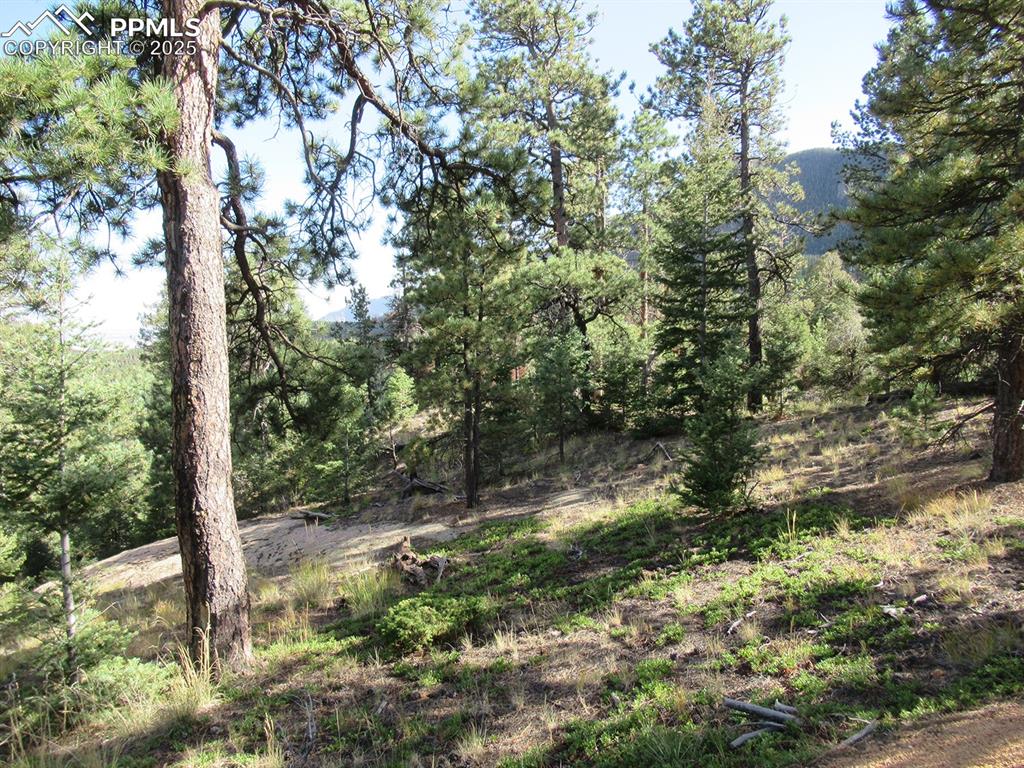 Image 8 of 17: Other