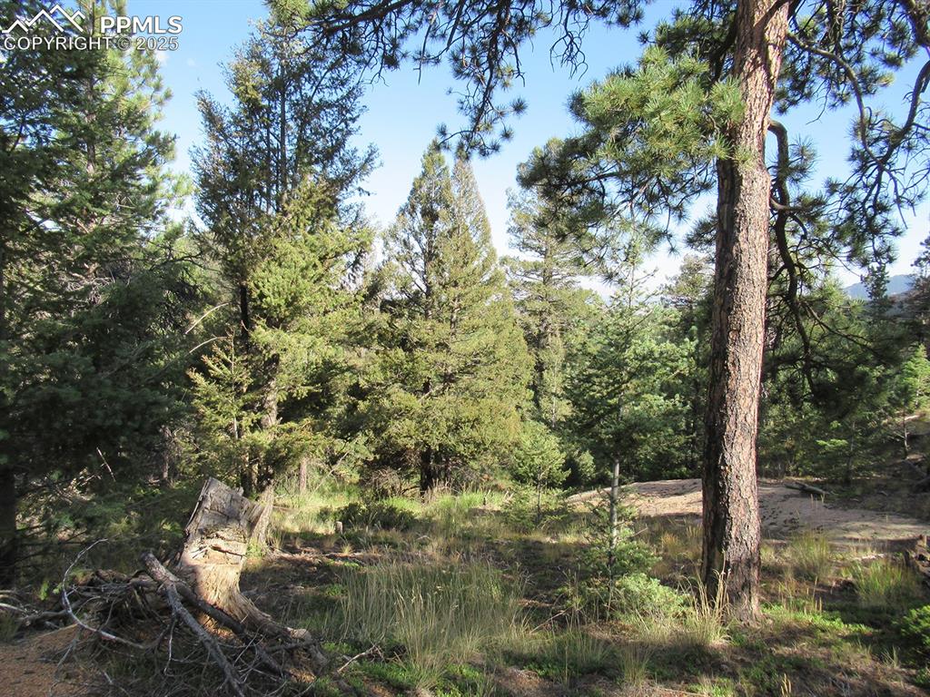 Image 9 of 17: Other