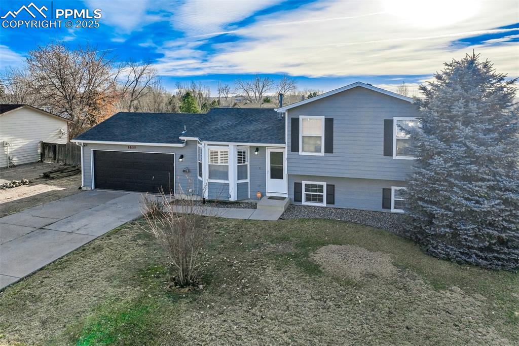 Caption: Large lot, 1/3+ acres: SO MUCH SPACE