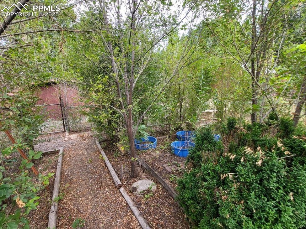 Image 26 of 36: Yard