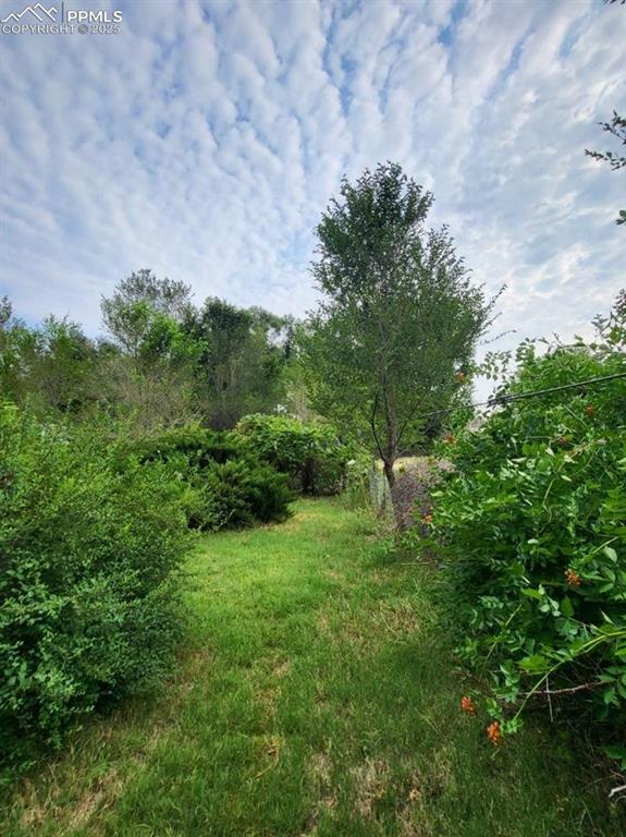 Image 33 of 36: Yard