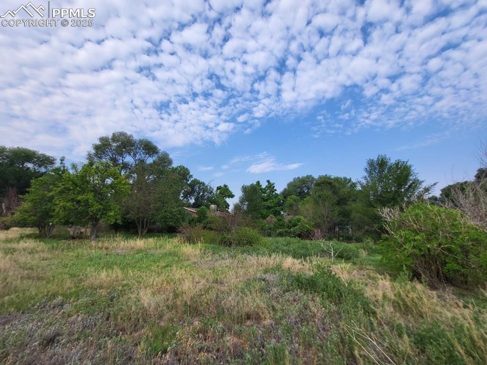 Image 34 of 36: Other