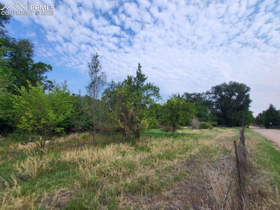 Image 35 of 36: Other