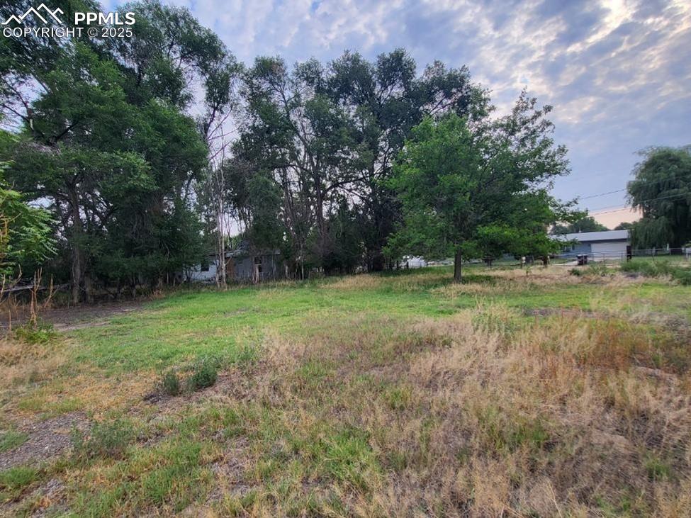 Image 36 of 36: Yard