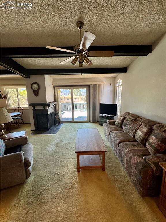 Image 11 of 24: Living Room