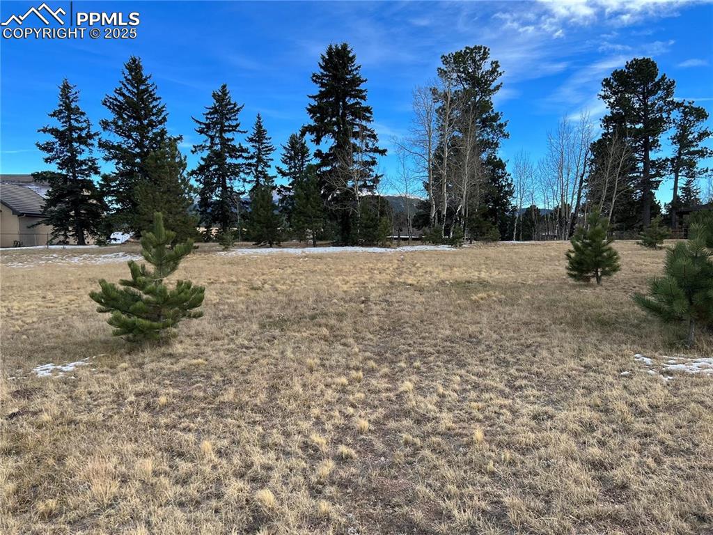 Image 11 of 12: View of yard