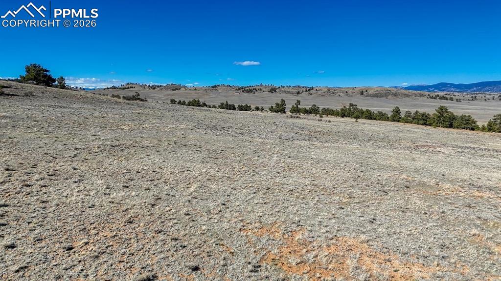Image 10 of 31: View
