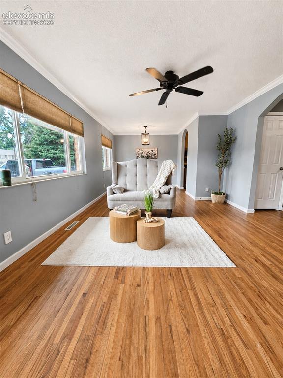 Image 6 of 40: Living Room