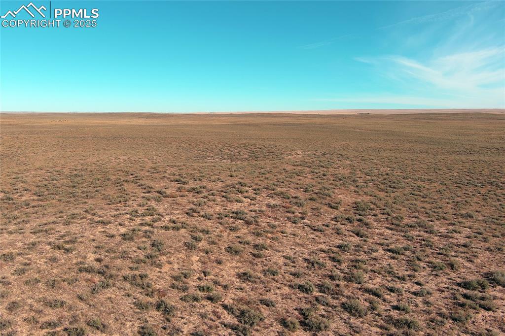 Image 4 of 10: Other