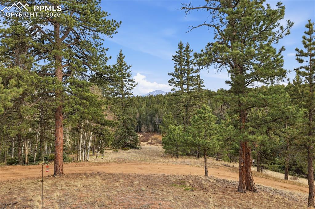 Image 32 of 32: Other