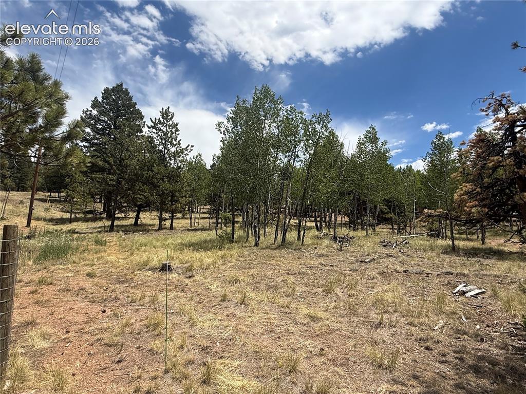 Image 8 of 37: Back yard Aspen treed view with privacy