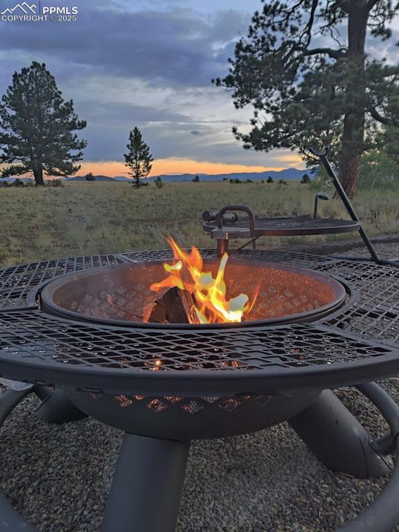 Image 11 of 44: Yard