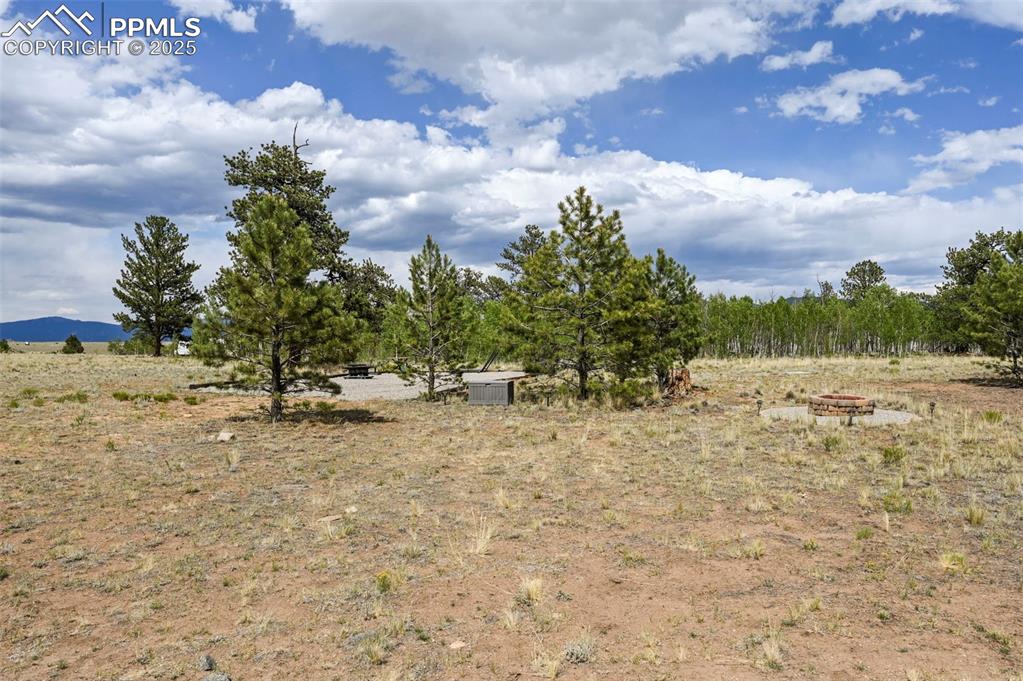 Image 12 of 44: Other