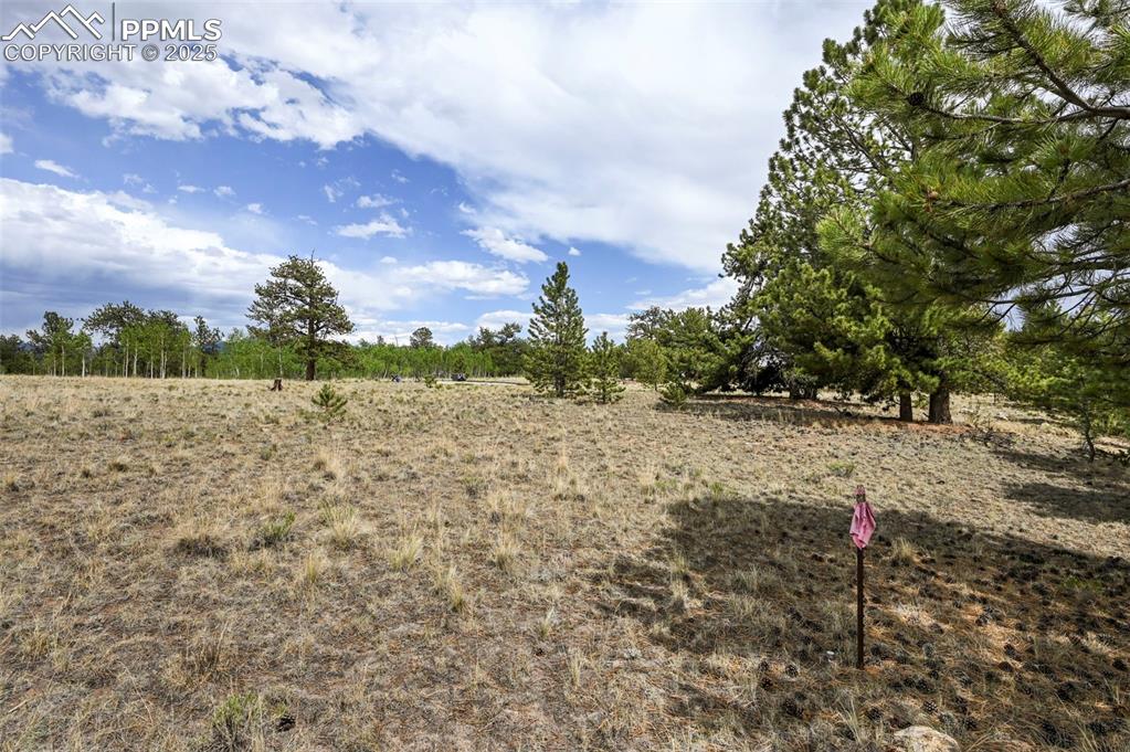 Image 13 of 44: Yard