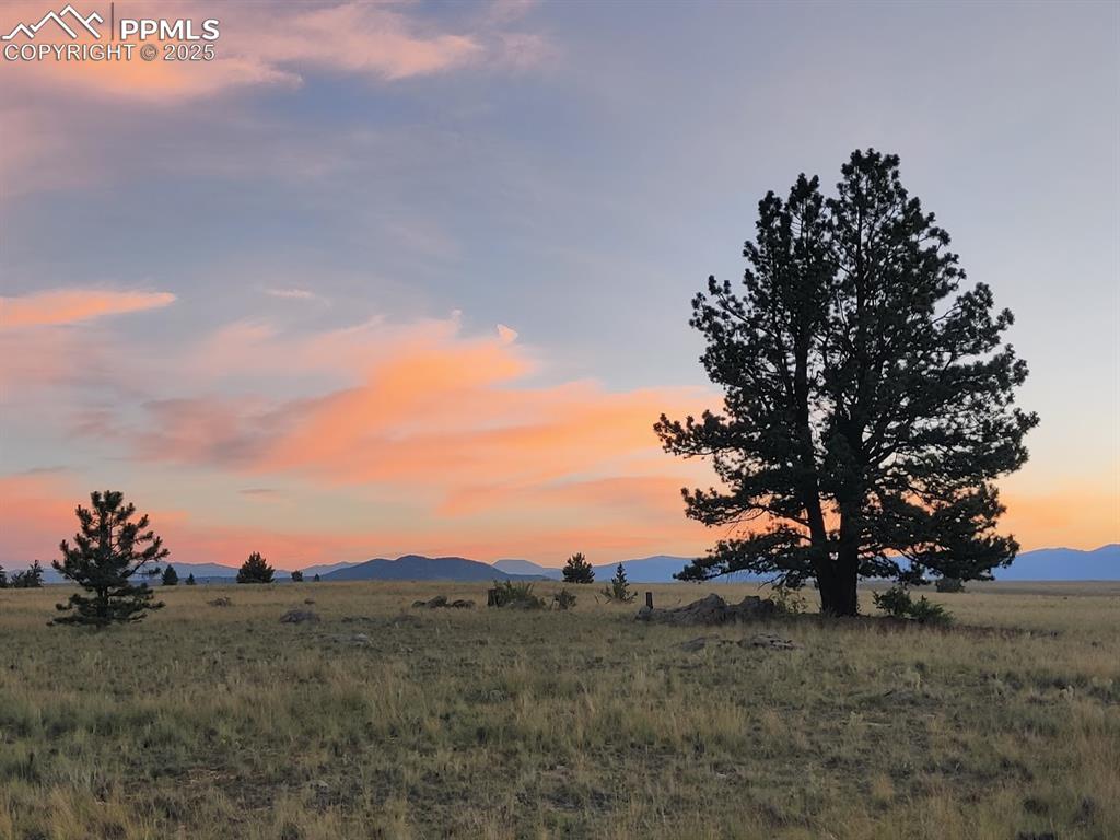 Image 14 of 44: View