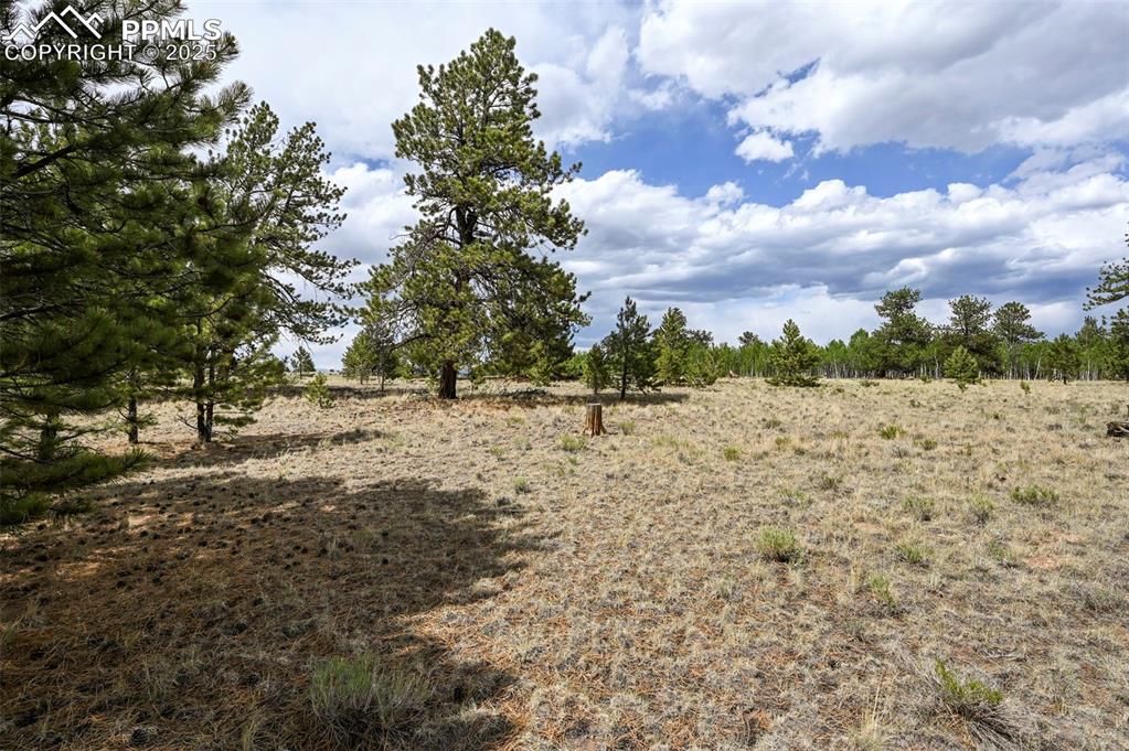 Image 15 of 44: Other