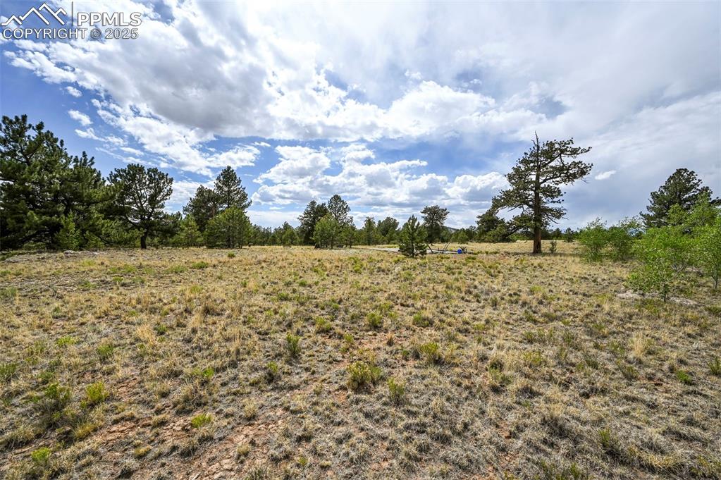 Image 16 of 44: Other