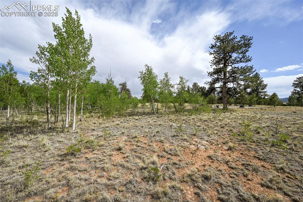 Image 17 of 44: Other